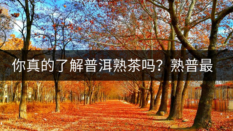 你真的了解普洱熟茶嗎？熟普最詳細的揭秘都在這里了。