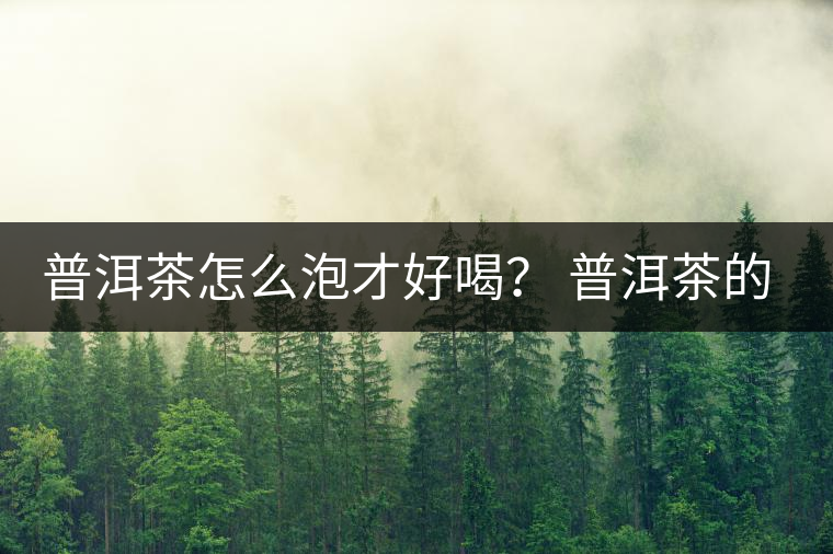 普洱茶怎么泡才好喝？ 普洱茶的沖泡技巧！
