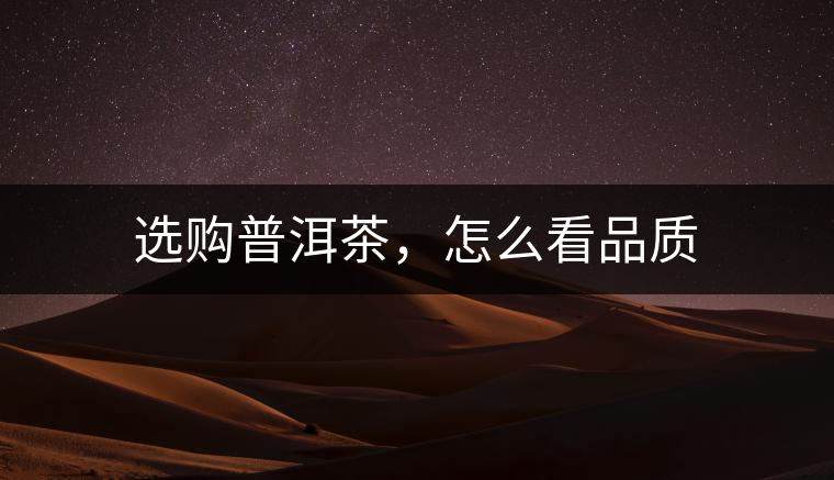 選購普洱茶，怎么看品質(zhì)