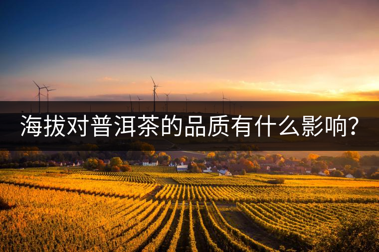海拔對(duì)普洱茶的品質(zhì)有什么影響？