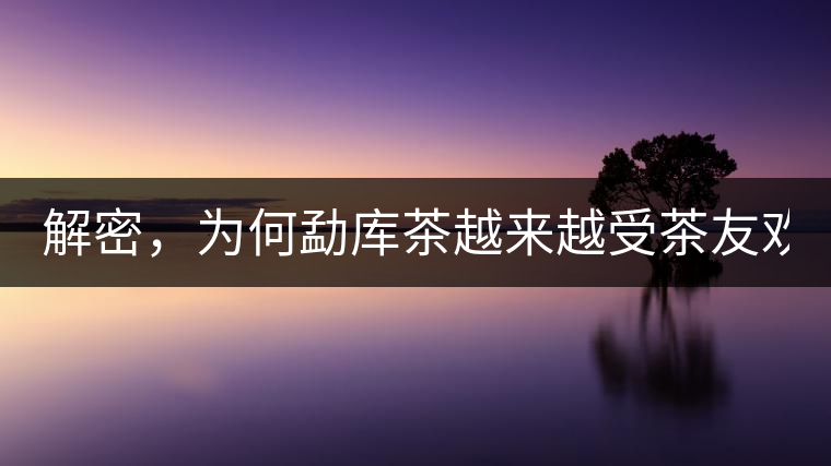 解密，為何勐庫茶越來越受茶友歡迎！