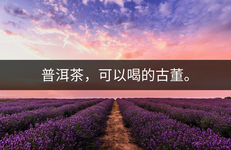 普洱茶，可以喝的古董。