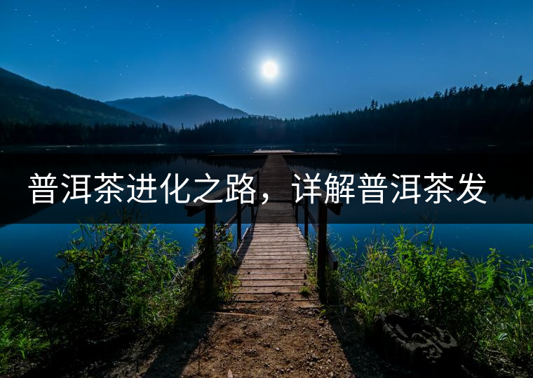 普洱茶進化之路，詳解普洱茶發(fā)展的三大重要階段