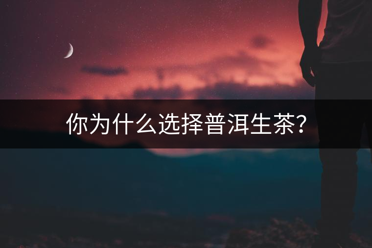 你為什么選擇普洱生茶？