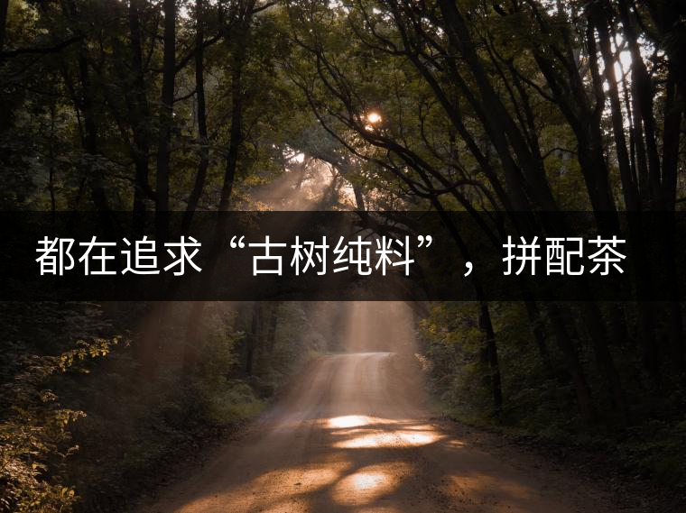 都在追求“古樹(shù)純料”，拼配茶真的不如純料的？