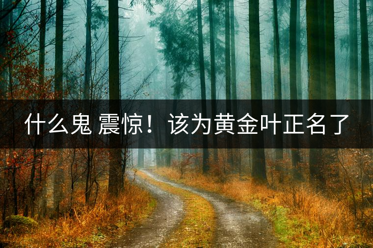什么鬼 震驚！該為黃金葉正名了