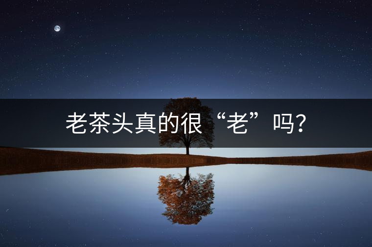 老茶頭真的很“老”嗎？