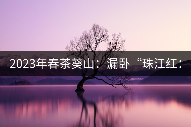 2023年春茶葵山：漏臥“珠江紅：1200元-3200元（有3個(gè)檔次）漏臥“大廠茶”：古樹單株8600-9000元／公斤，中樹4800-5200元／公斤，小樹混采2600-2800元／公斤。