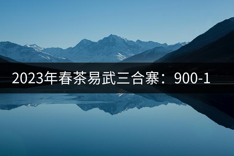 2023年春茶易武三合寨:900-1000元/公斤 2023年春茶易武三合寨:900-1000元/公斤