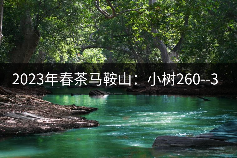 2023年春茶馬鞍山:小樹260--300元/公斤,古樹450-500元/公斤 2023年春茶馬鞍山:小樹260--300元/公斤,古樹450-500元/公斤