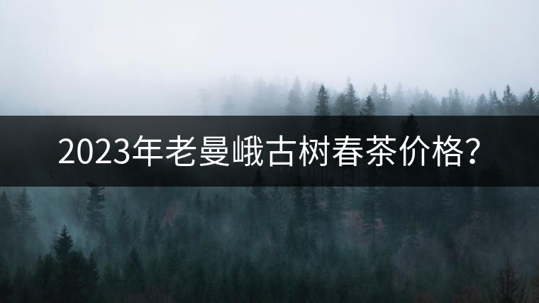 2023年老曼峨古樹(shù)春茶價(jià)格？