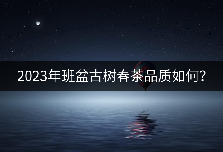 2023年班盆古樹春茶品質(zhì)如何？