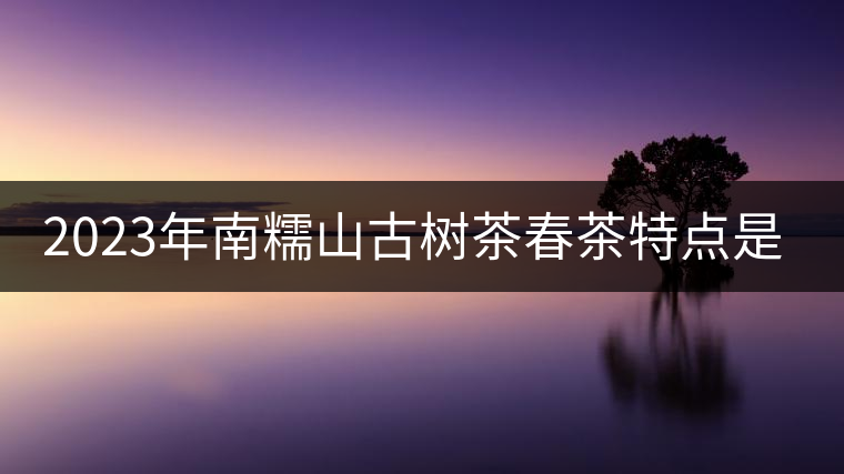 2023年南糯山古樹茶春茶特點是什么？