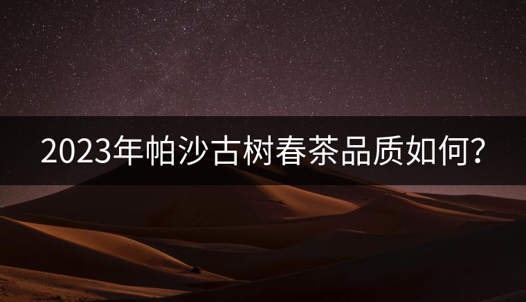 2023年帕沙古樹(shù)春茶品質(zhì)如何？