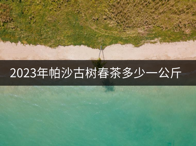 2023年帕沙古樹春茶多少一公斤？