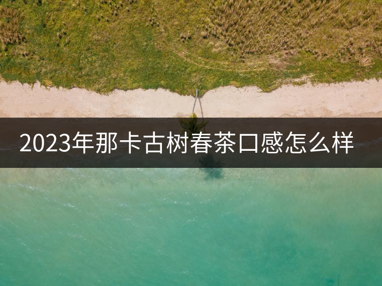 2023年那卡古樹(shù)春茶口感怎么樣？