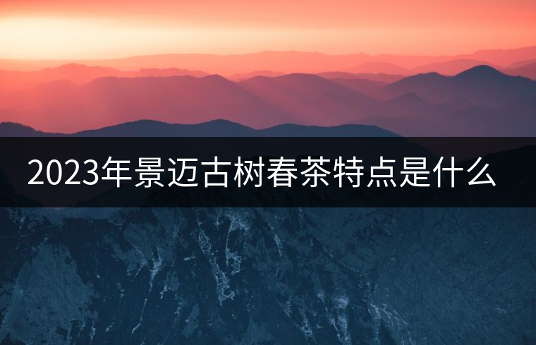 2023年景邁古樹春茶特點是什么？