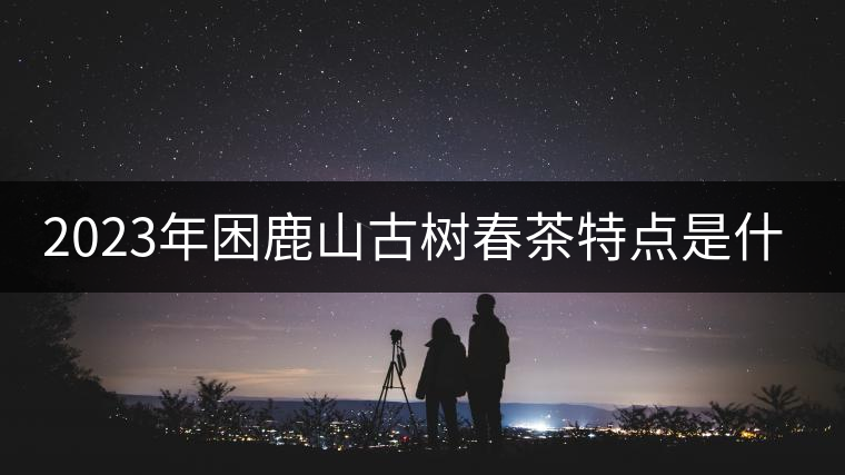 2023年困鹿山古樹春茶特點是什么？