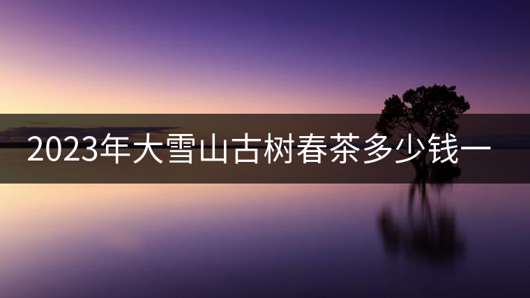 2023年大雪山古樹春茶多少錢一公斤？