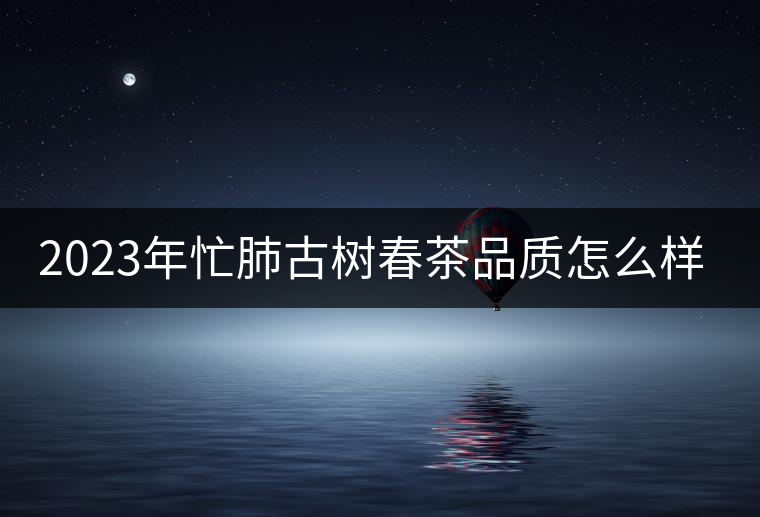 2023年忙肺古樹春茶品質(zhì)怎么樣？