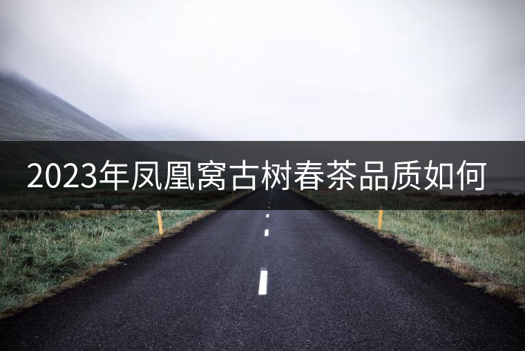 2023年鳳凰窩古樹春茶品質(zhì)如何？