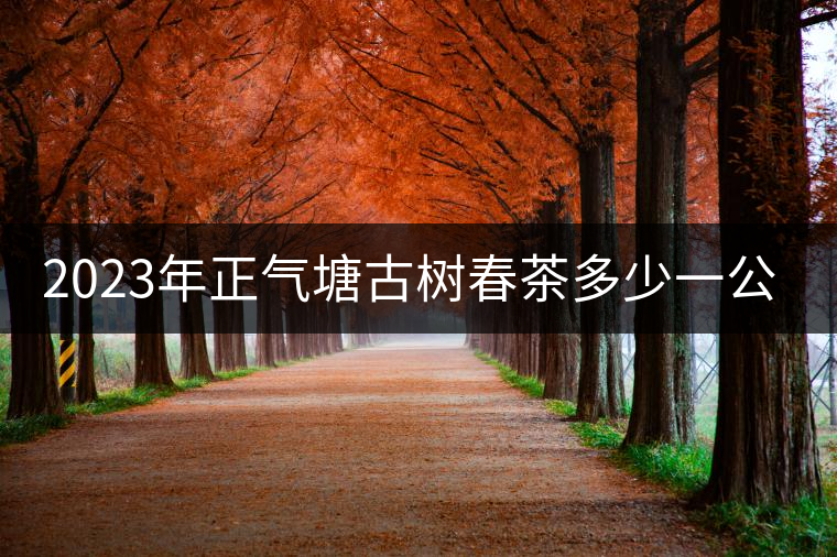 2023年正氣塘古樹春茶多少一公斤？