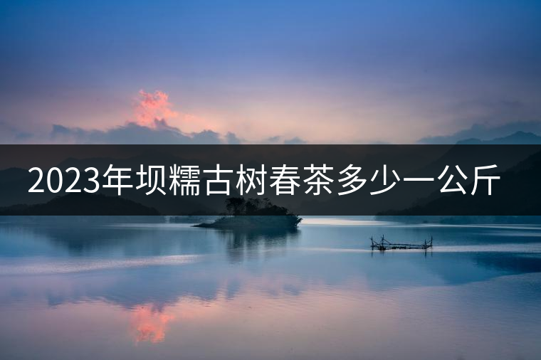 2023年壩糯古樹春茶多少一公斤？