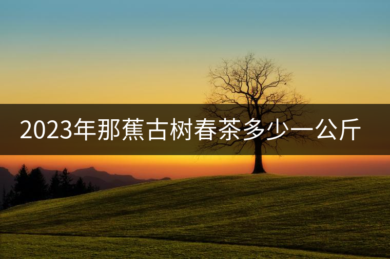 2023年那蕉古樹春茶多少一公斤？