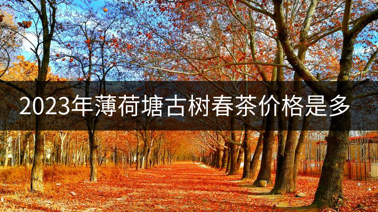 2023年薄荷塘古樹春茶價(jià)格是多少？