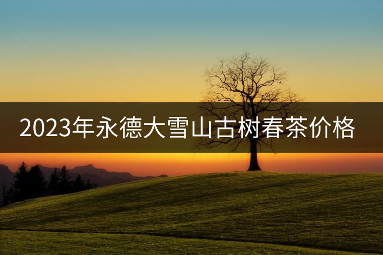 2023年永德大雪山古樹春茶價格是多少？