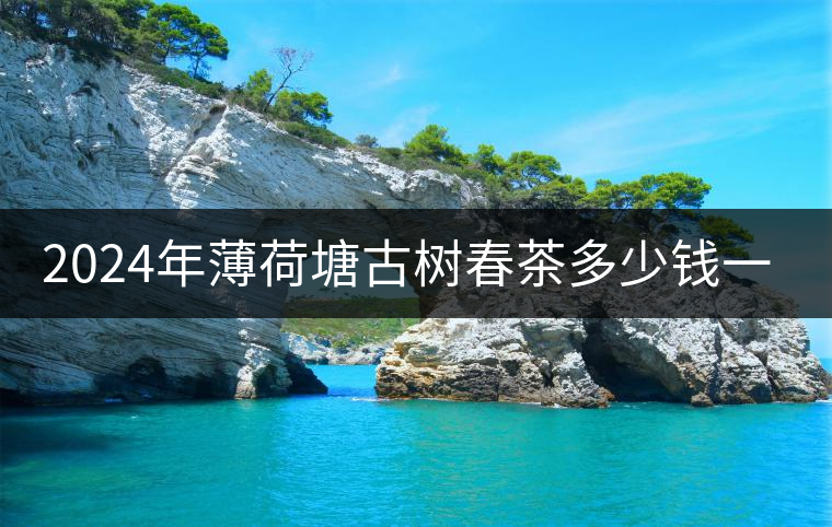 2024年薄荷塘古樹春茶多少錢一公斤？