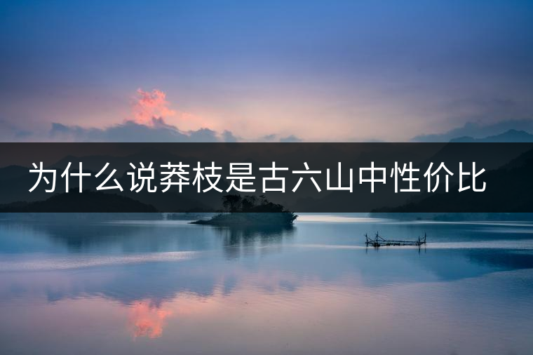 為什么說(shuō)莽枝是古六山中性價(jià)比最高的?