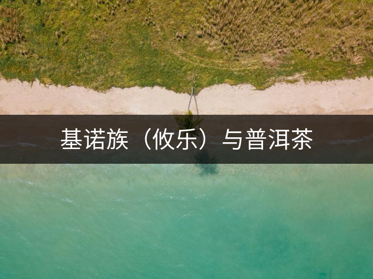 基諾族（攸樂）與普洱茶