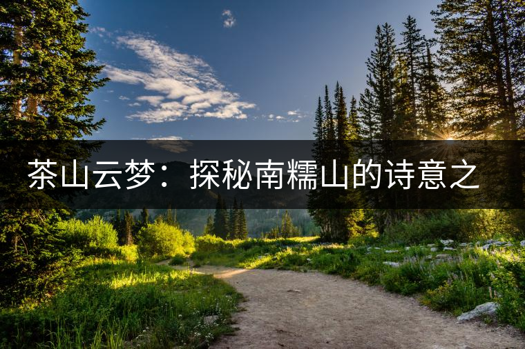 茶山云夢(mèng):探秘南糯山的詩(shī)意之旅 茶山云夢(mèng):探秘南糯山的詩(shī)意之旅