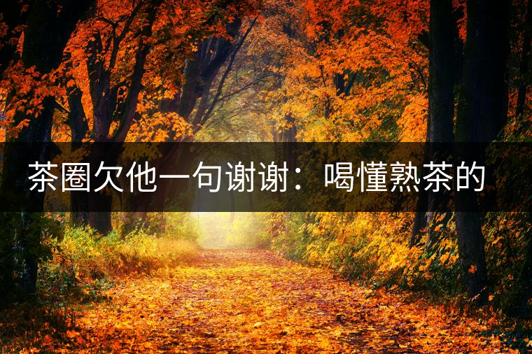 茶圈欠他一句謝謝：喝懂熟茶的人，都該記住陳佩仁這個(gè)名字