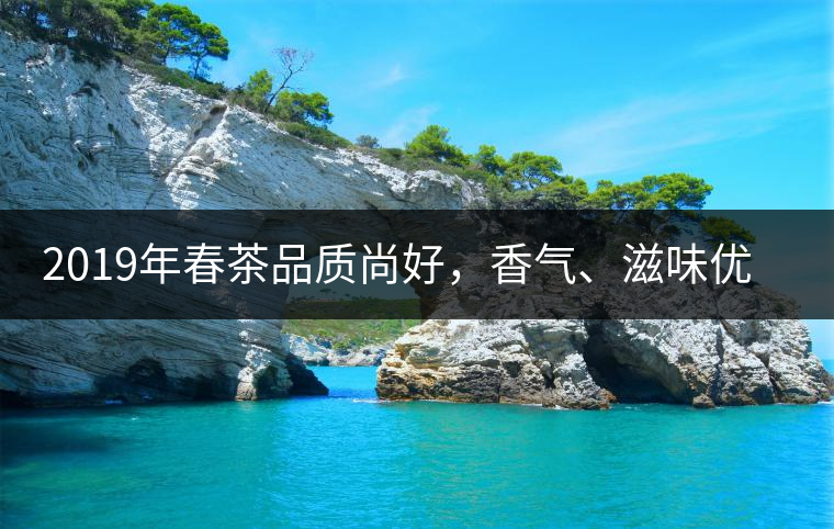 2019年春茶品質(zhì)尚好，香氣、滋味優(yōu)于去年