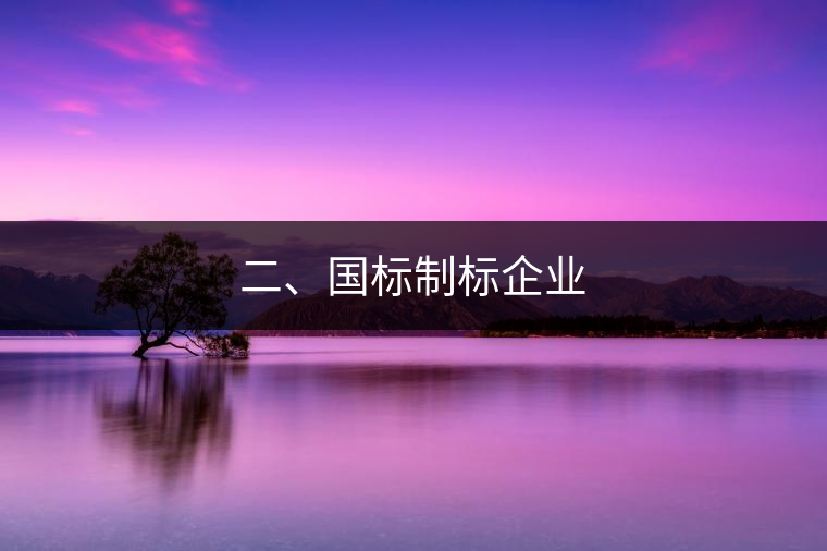 二、國標(biāo)制標(biāo)企業(yè)