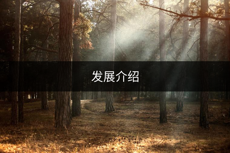 發(fā)展介紹 發(fā)展介紹