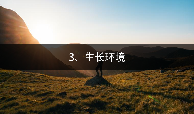 3、生長(zhǎng)環(huán)境