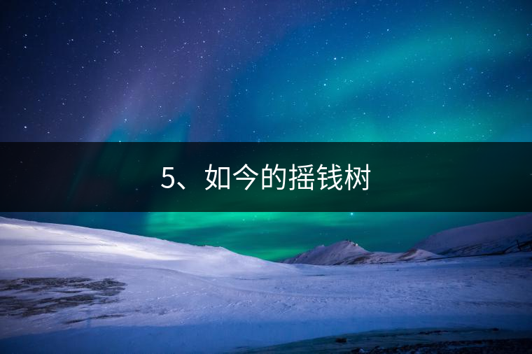 5、如今的搖錢(qián)樹(shù)