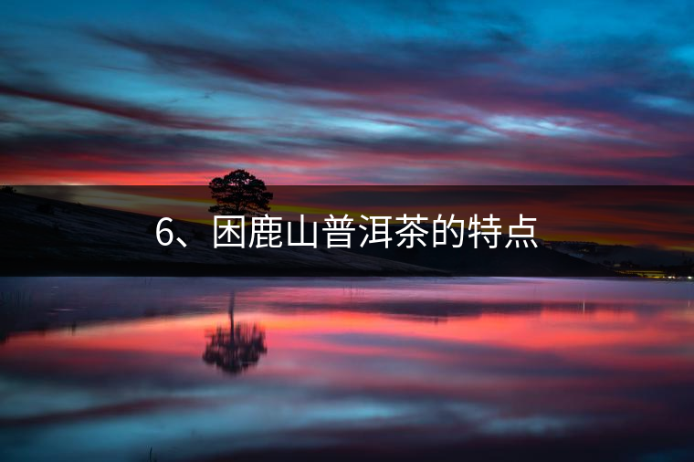 6、困鹿山普洱茶的特點(diǎn)