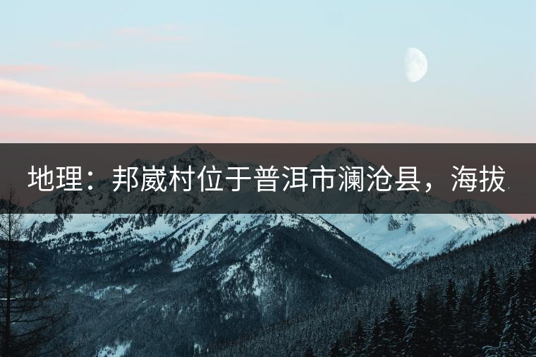 地理：邦崴村位于普洱市瀾滄縣，海拔1800-2000多米，這里的古樹茶被原始森林環(huán)抱，遠(yuǎn)離塵囂污染，沒有農(nóng)藥化肥。