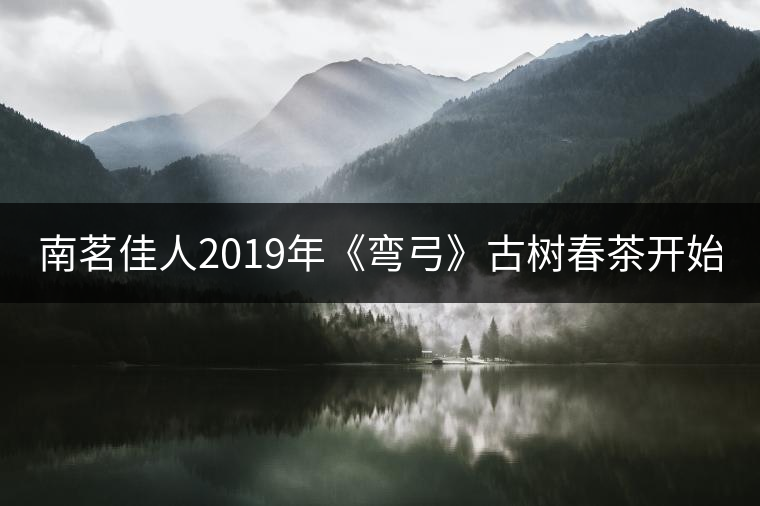 南茗佳人2019年《彎弓》古樹(shù)春茶開(kāi)始預(yù)售啦！