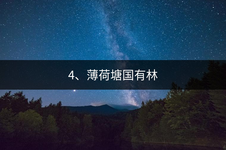 4、薄荷塘國(guó)有林