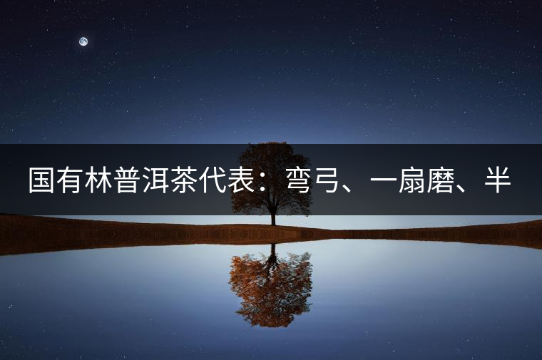 國有林普洱茶代表：彎弓、一扇磨、半坡老寨