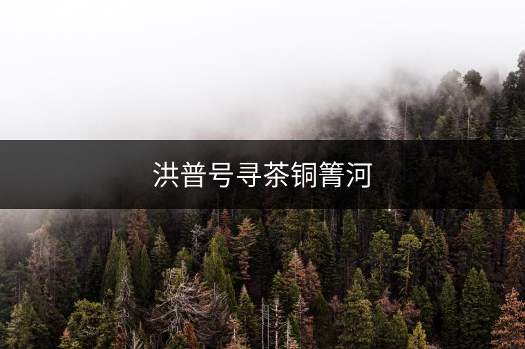 洪普號(hào)尋茶銅箐河