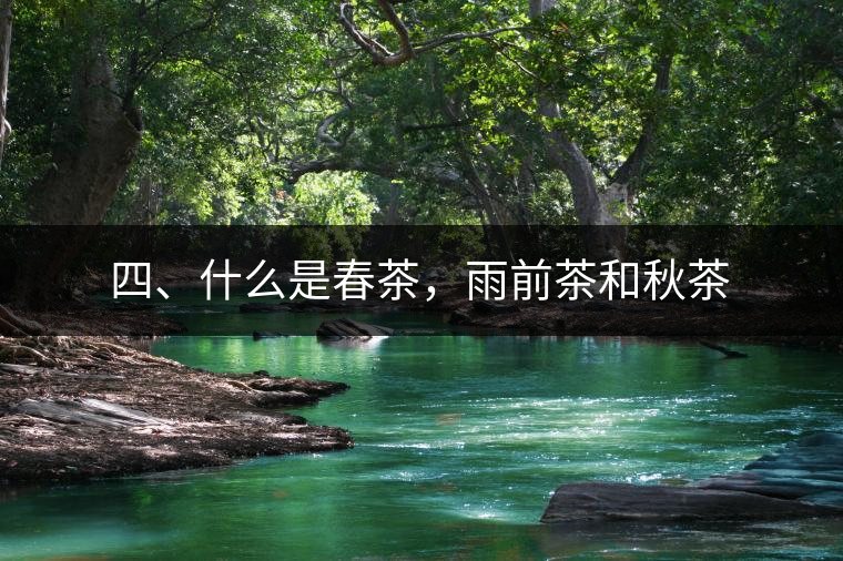 四、什么是春茶，雨前茶和秋茶
