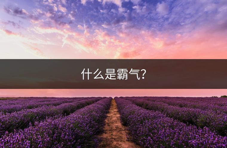 什么是霸氣？