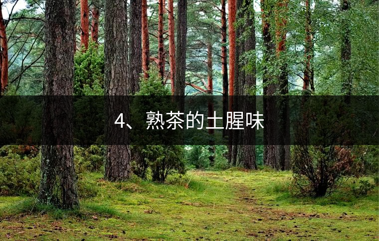 4、熟茶的土腥味