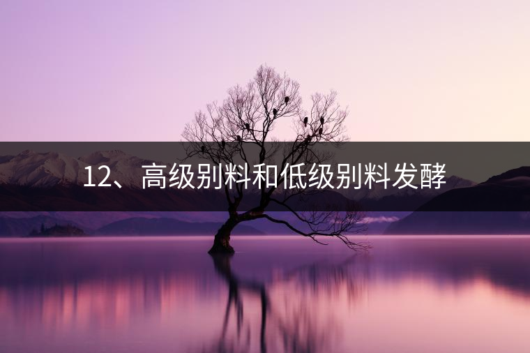 12、高級(jí)別料和低級(jí)別料發(fā)酵